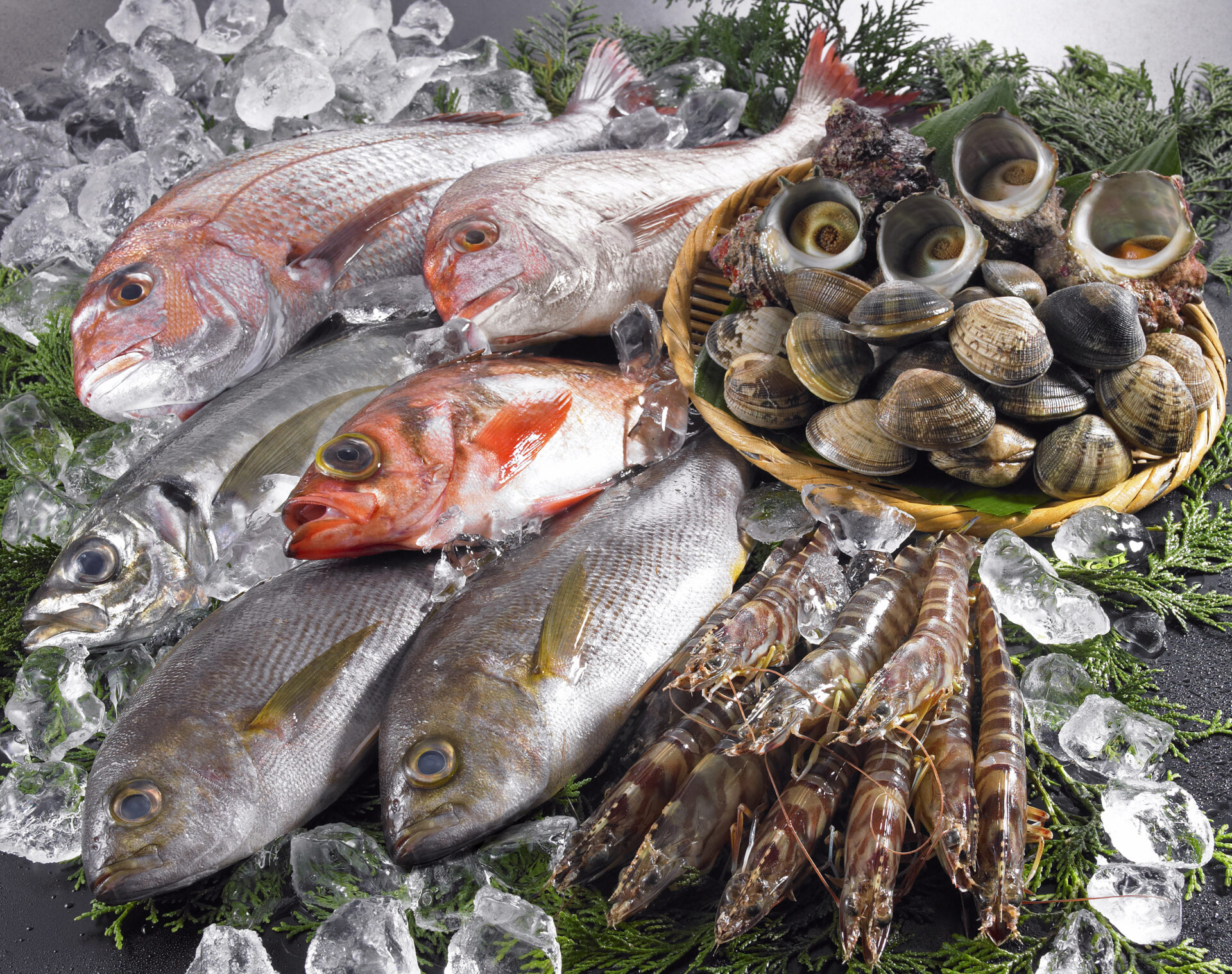 魚介類(北海道産)