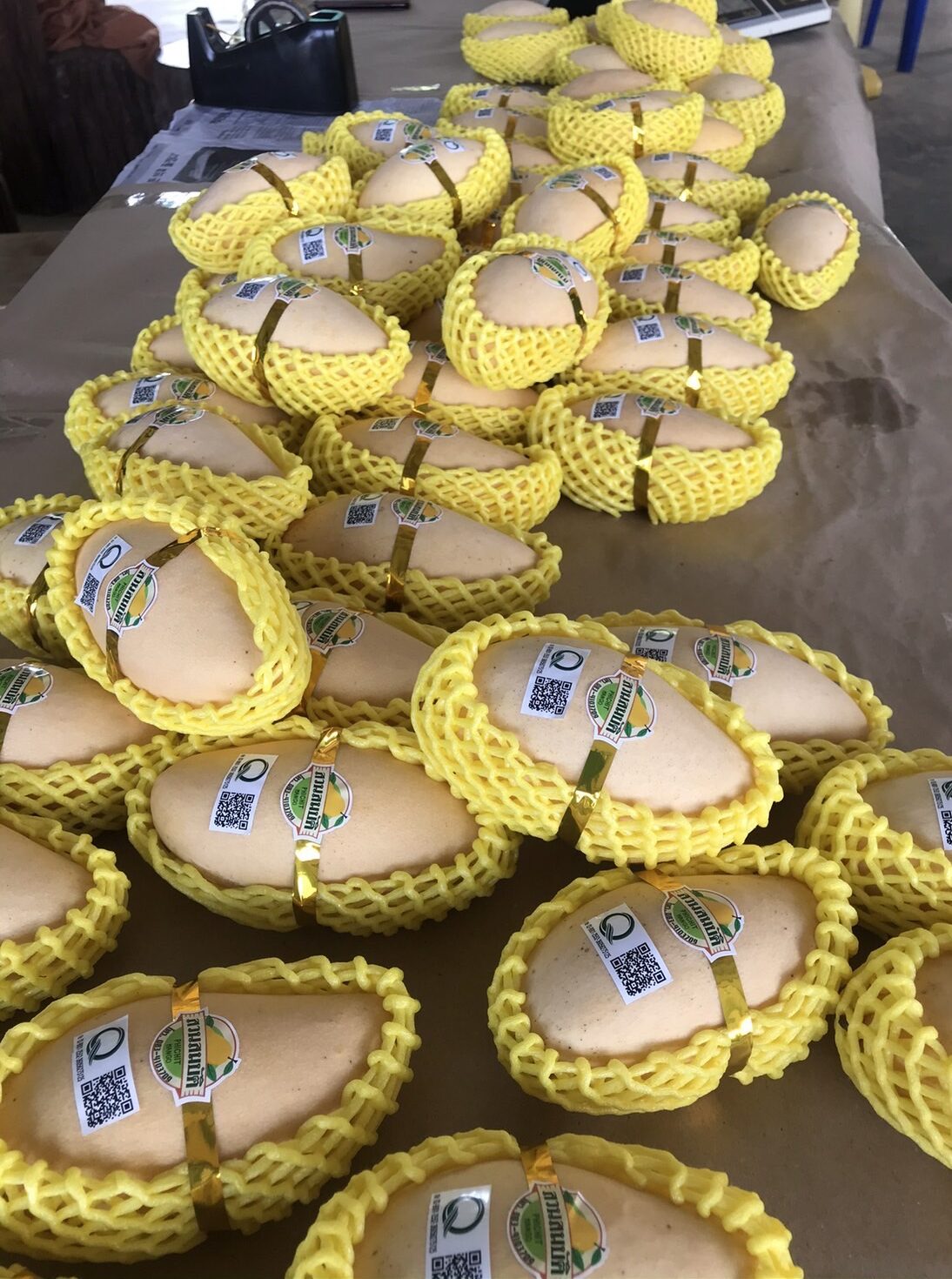 マンゴー(タイ産)